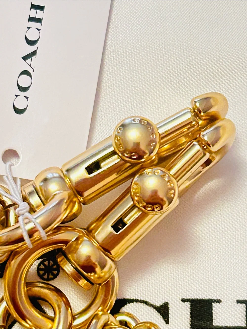 Coach Cherries Swag Bag Charm